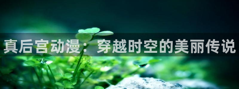 里番漫画免费：真后宫动漫：穿越时空的美丽传说