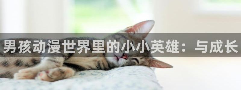 类似黑兽里番的动漫