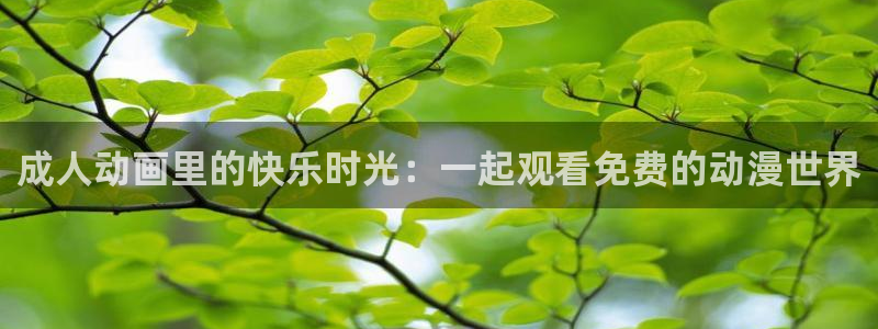 二次元里番动漫