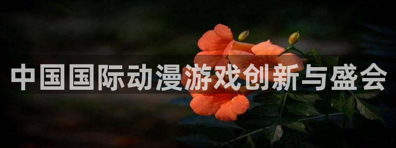 里番动画观看
