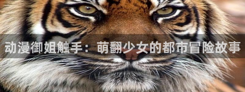 工囗里番漫画