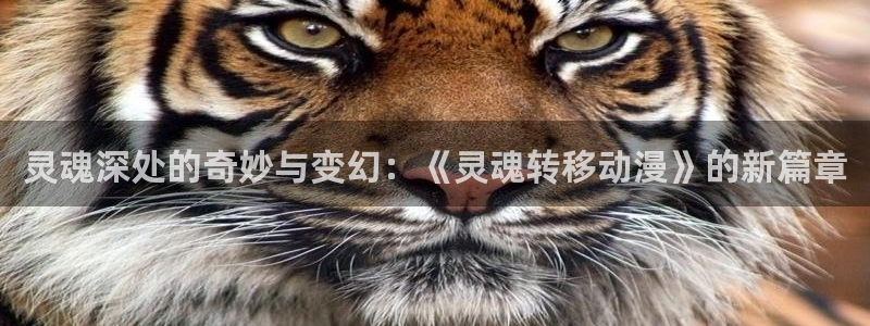 日韩动漫里番：灵魂深处的奇妙与变幻：《灵魂转移动漫》的新篇章