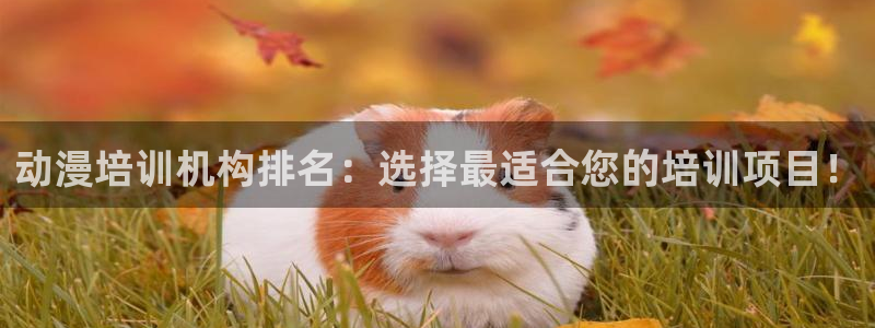 里番漫画：动漫培训机构排名：选择最适合您的培训项目！