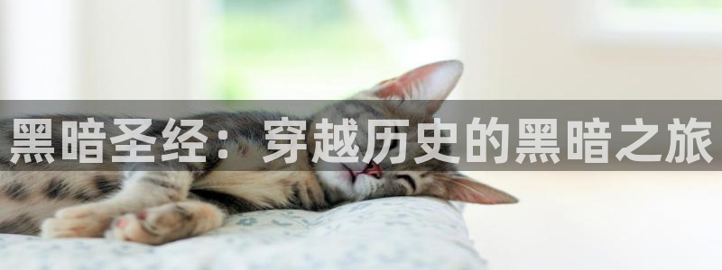 免费看里番动漫：黑暗圣经：穿越历史的黑暗之旅