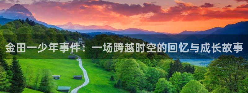 里番动漫官网：金田一少年事件：一场跨越时空的回忆与成长故事