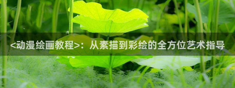 里番 在线动漫：<动漫绘画教程>：从素描到彩绘的全方位艺术指导