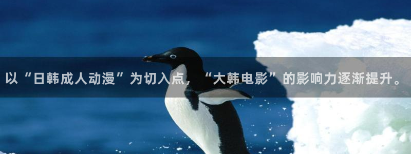 里番嗨动漫：以“日韩成人动漫”为切入点，“大韩电影”的影响力逐渐提升。