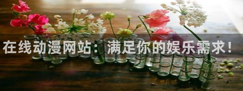 里番动漫图片：在线动漫网站：满足你的娱乐需求！