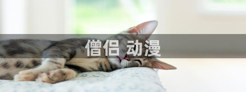 里番动漫免：僧侣 动漫