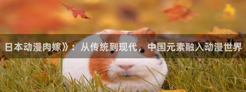 里番动漫全集