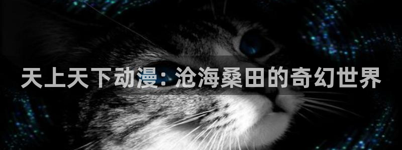 里番动漫网免费观看