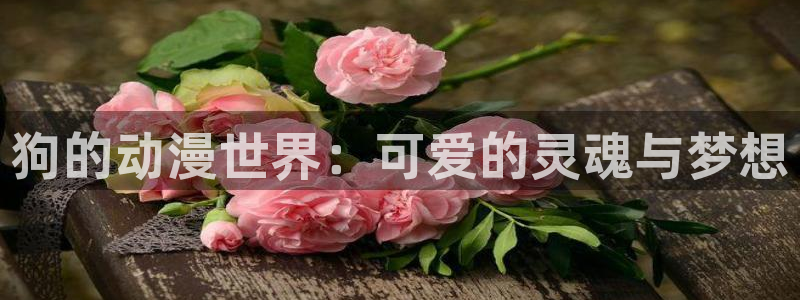 里番嗨动漫