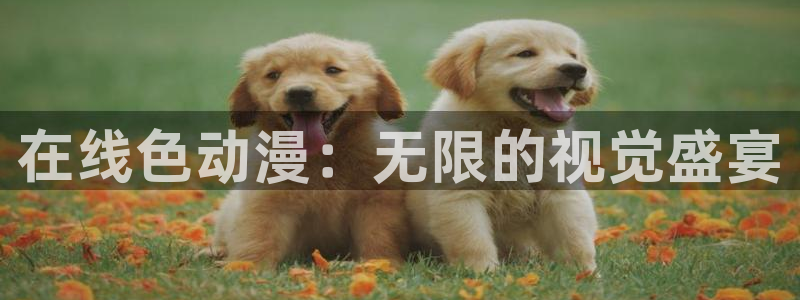 最新里番动漫大全